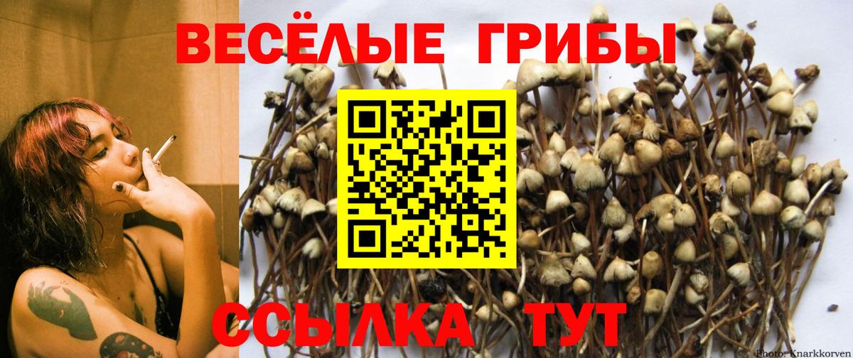 Галлюциногенные грибы MAGIC MUSHROOMS  Вход с VPN  Псилоцибиновые грибы GOLDEN TEACHER  Мурманск 